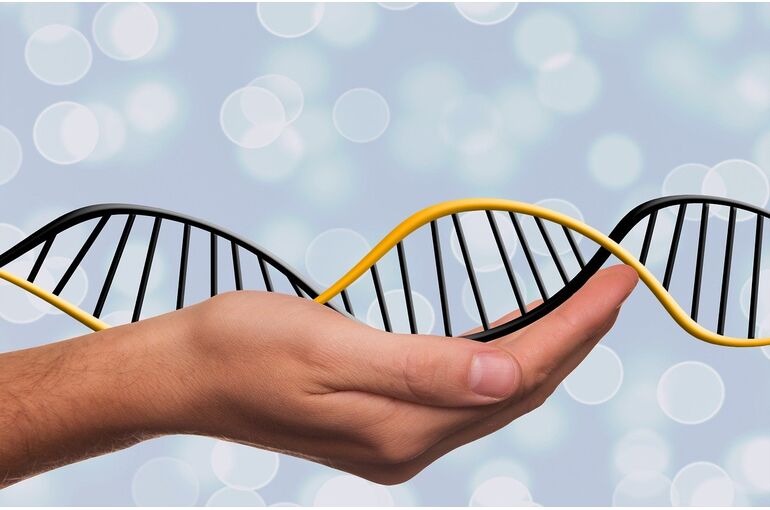 dna-1500076_1280