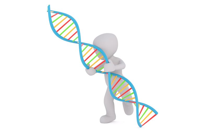 dna-1889086_1920