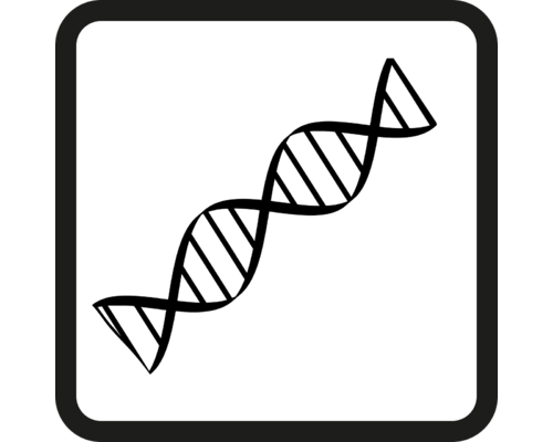dna-5994798_1280