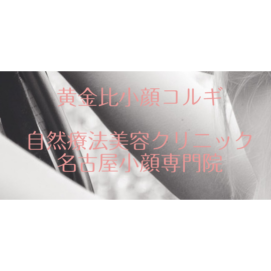 SnapCrab_NoName_2021-12-8_15-59-27_No-00
