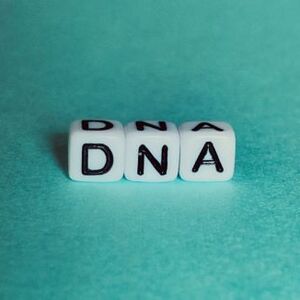 株式会社レイクビー