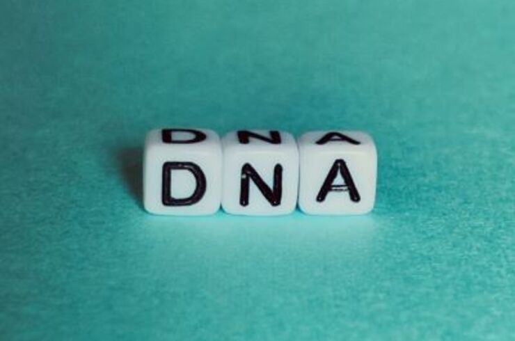 株式会社レイクビー