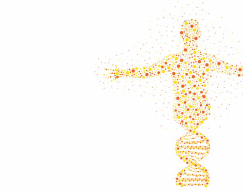 mainvisual-2-1024x455