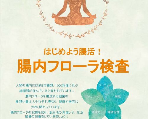 腸内フローラオリジナルチラシ_ページ_1