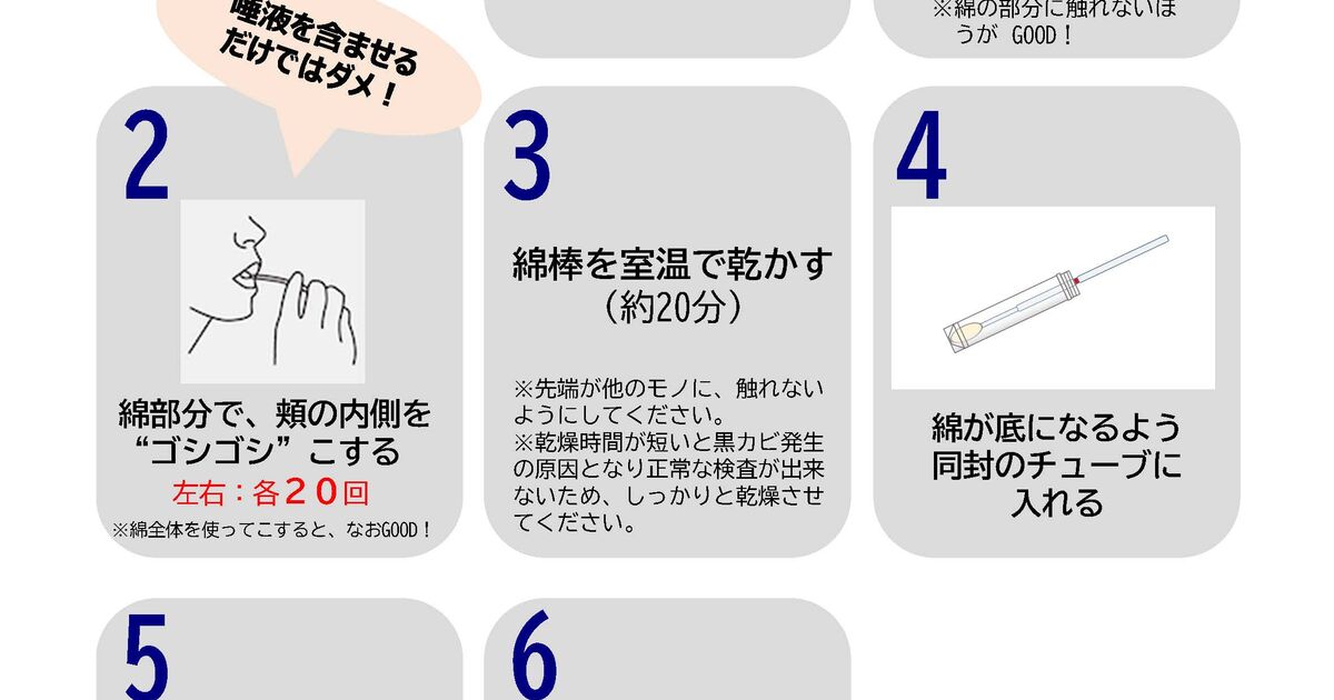 遺伝子検査MYDENSI(マイデンシ)のやり方を分かりやすく説明 | ブログ 