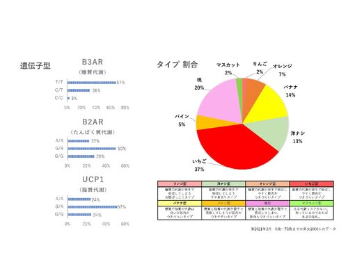 タイプ統計