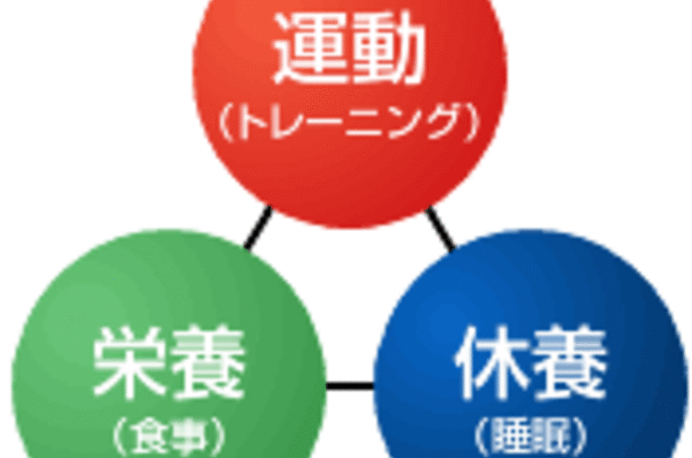 img-3disc