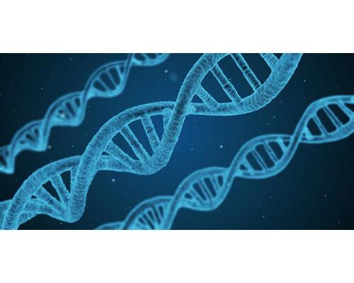 publicdomainq-0002719eiq