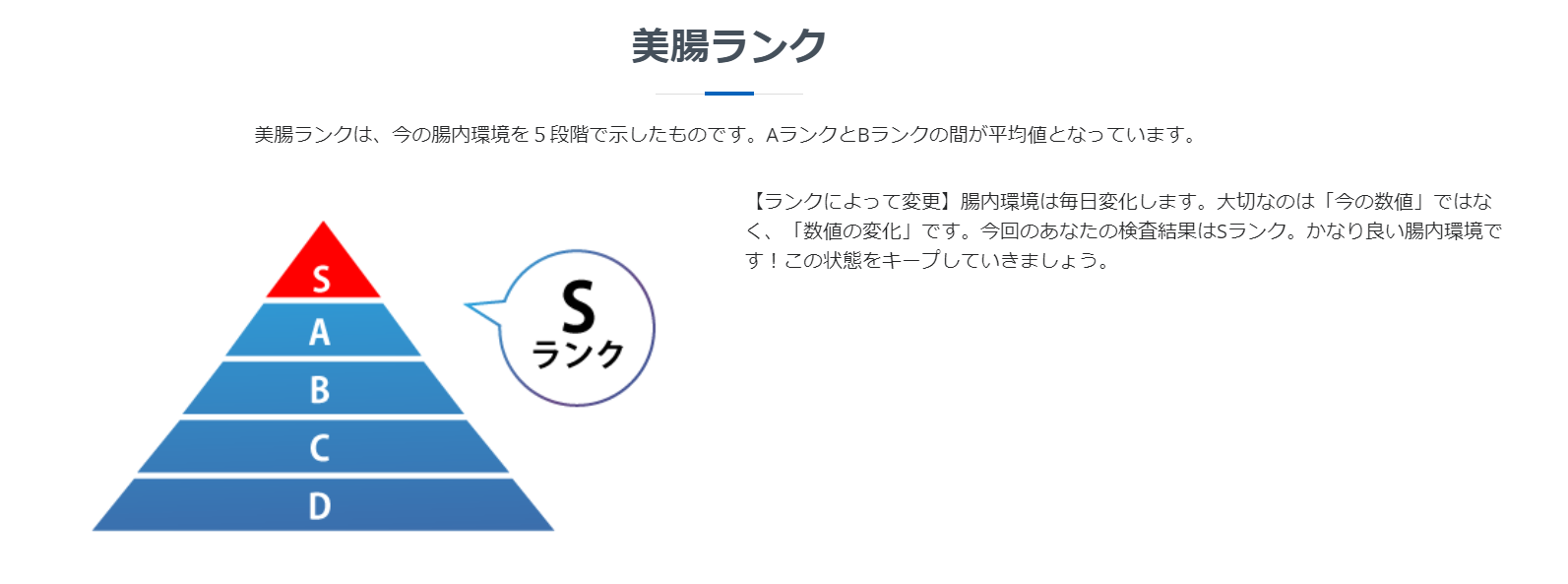 美腸Indole革命レポート
